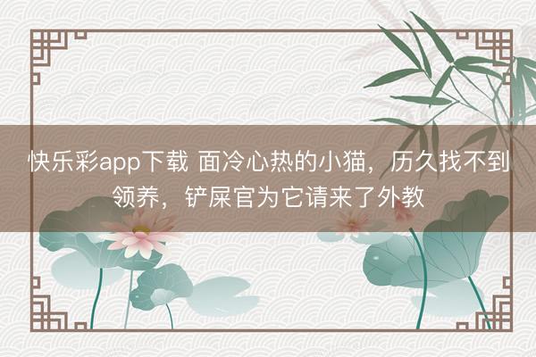 快乐彩app下载 面冷心热的小猫,历久找不到领养,铲屎官为它请来了外教