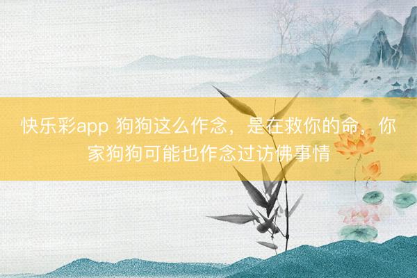 快乐彩app 狗狗这么作念,是在救你的命,你家狗狗可能也作念过访佛事情