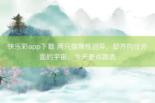 快乐彩app下载 两只猫脾性迥异，却齐向往外面的宇宙，今天差点跑丢