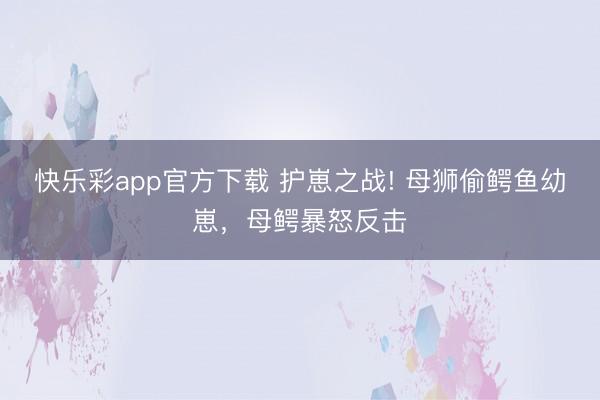 快乐彩app官方下载 护崽之战! 母狮偷鳄鱼幼崽，母鳄暴怒反击