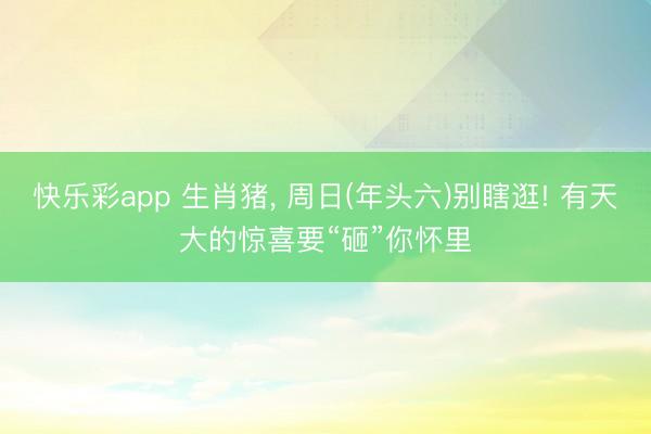 快乐彩app 生肖猪， 周日(年头六)别瞎逛! 有天大的惊喜要“砸”你怀里